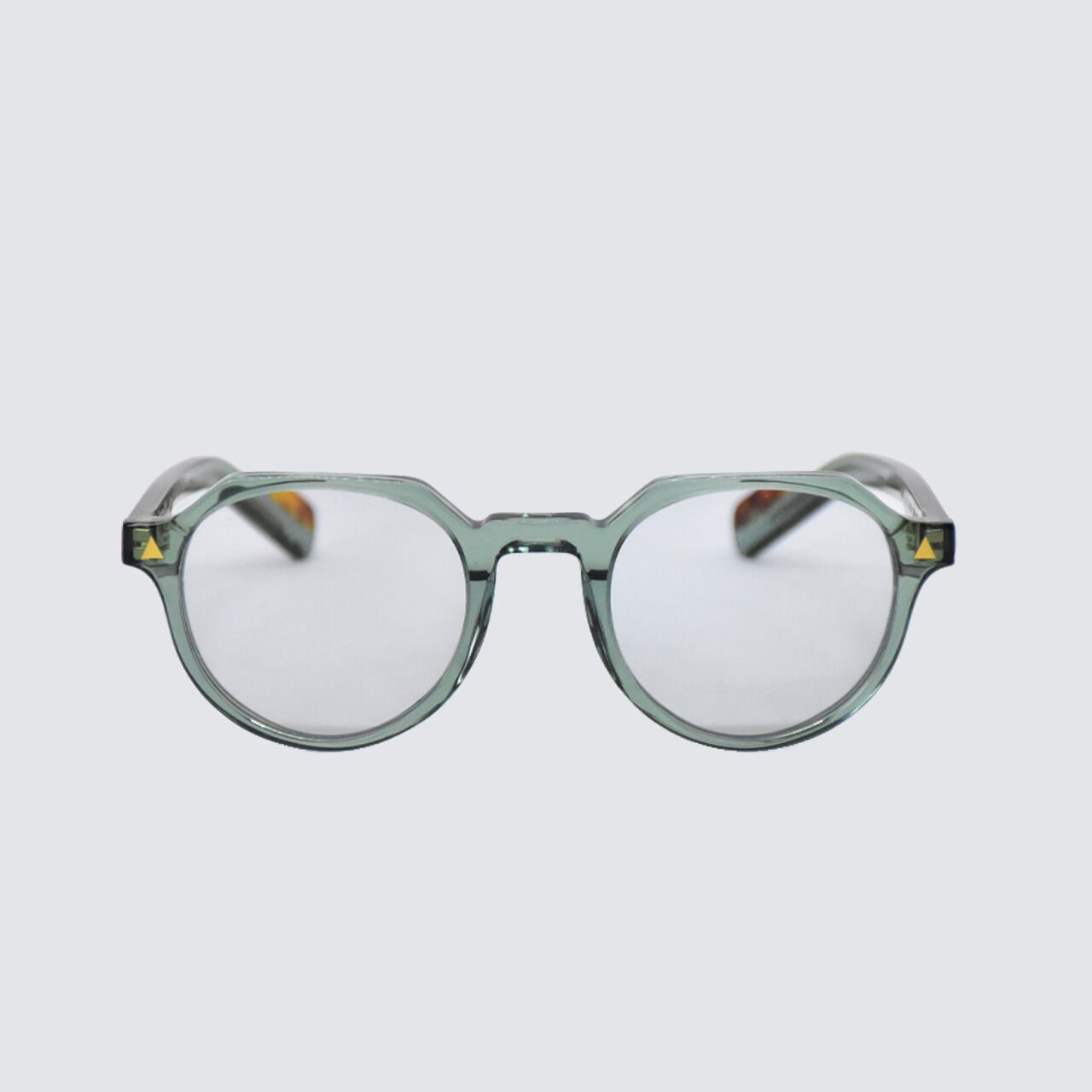 FRANCO VİTAL FV GEB GRN/BRN 47 ŞEFFAF CAM