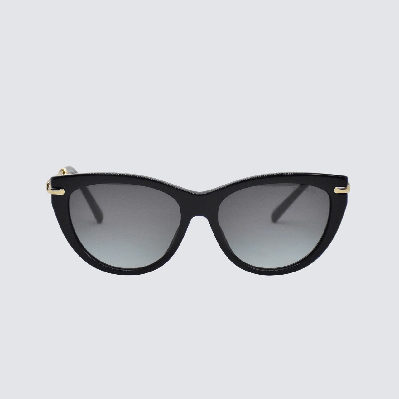 TİFFANY&CO TF 4253 80013C 55