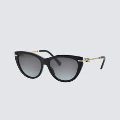TİFFANY&CO TF 4253 80013C 55