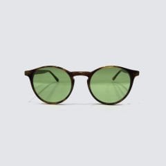 PAPARY P393 COL.238 CAT.2