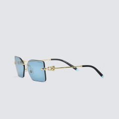 TIFFANY&CO TF 3088 6176/80