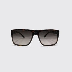 CESARE PACIOTTİ P039 C2