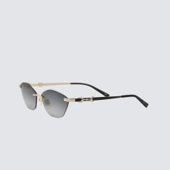 GG 2050S 001 59